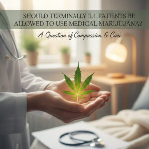 Should Terminally Ill Patients Be Alllowed to Use Medical Marijuana?