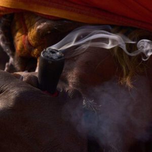 Cannabis smoke fills the air as Nepal marks Shivaratri festival