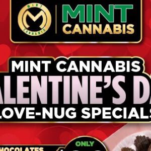 The Mint’s Valentine’s Day Deals Drop NOW — Get Here Before They’re Gone!