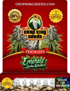 Emerald Lychee Walker Strain Feminized Seeds