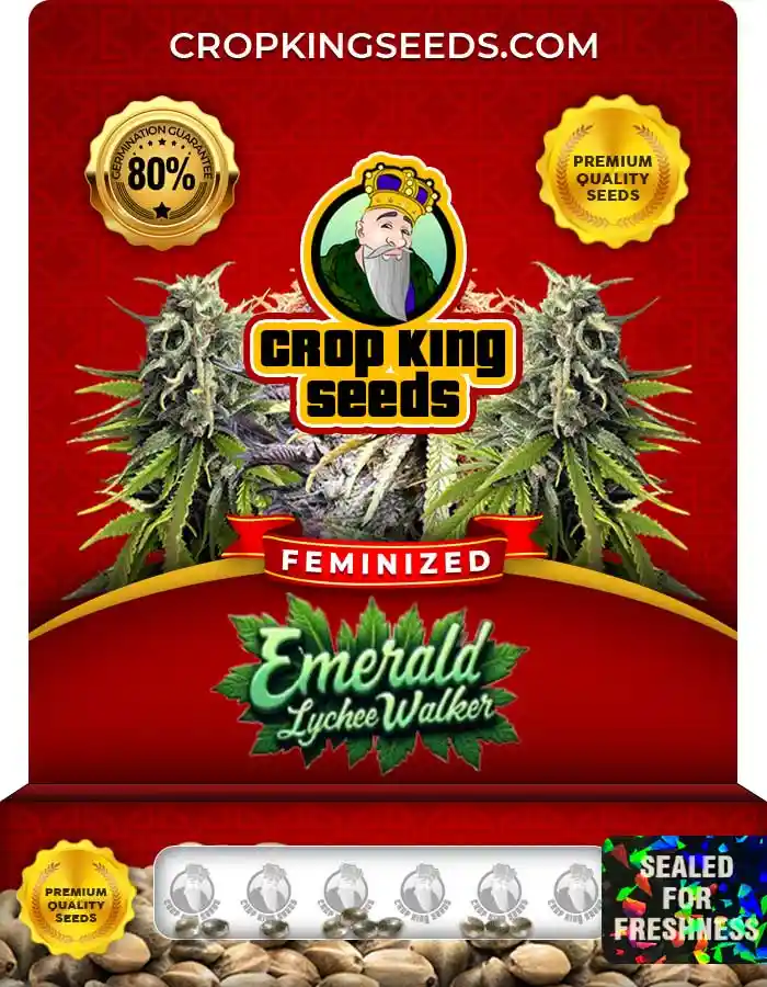 Emerald Lychee Walker Strain Feminized Seeds
