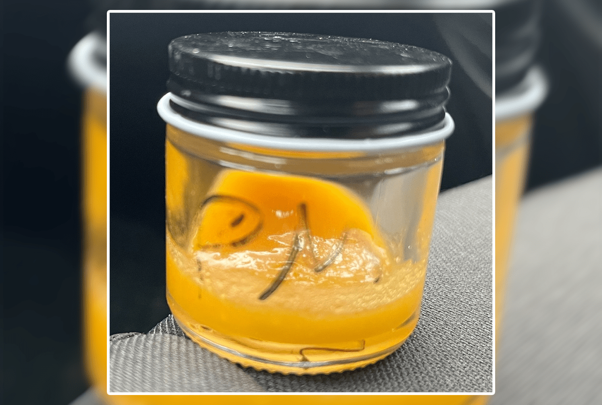 Ellsworth denies license for medical cannabis chain with contaminated products