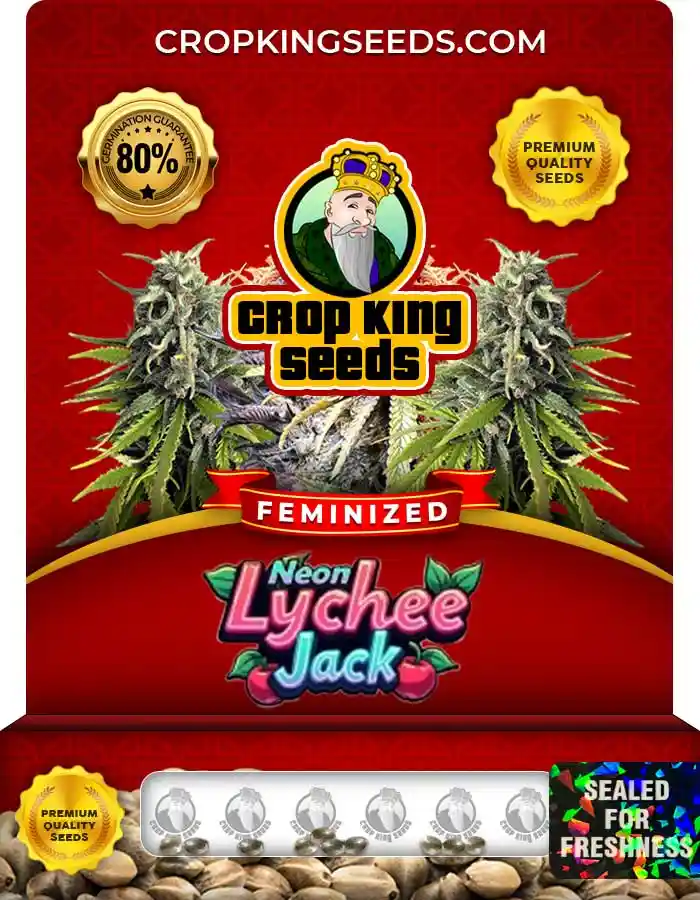 Neon Lychee Jack Strain Feminized Seeds