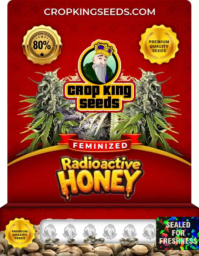 Radioactive Honey Strain Feminized Seeds
