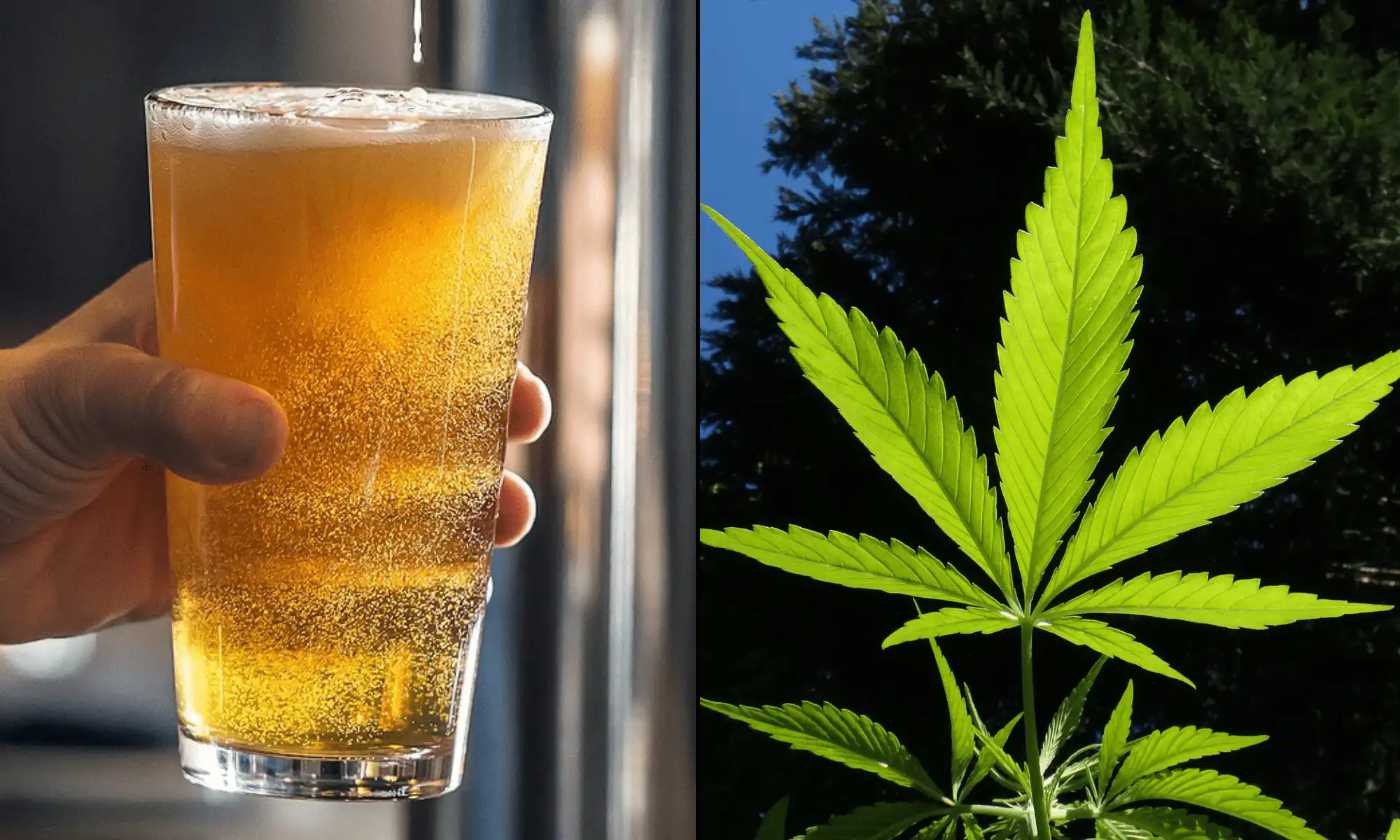 New York Liquor Stores Could Sell Low-THC Cannabis Beverages Under Newly Filed Bills