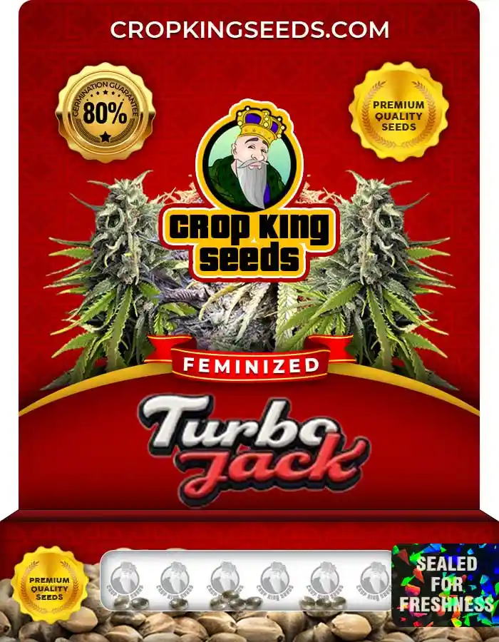 Turbo Jack Strain Feminized Seeds