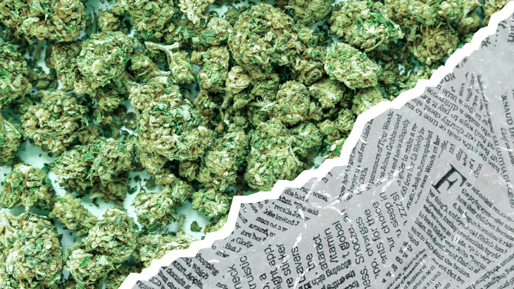 a background of cannabis buds is revealed behind a torn up newspaper