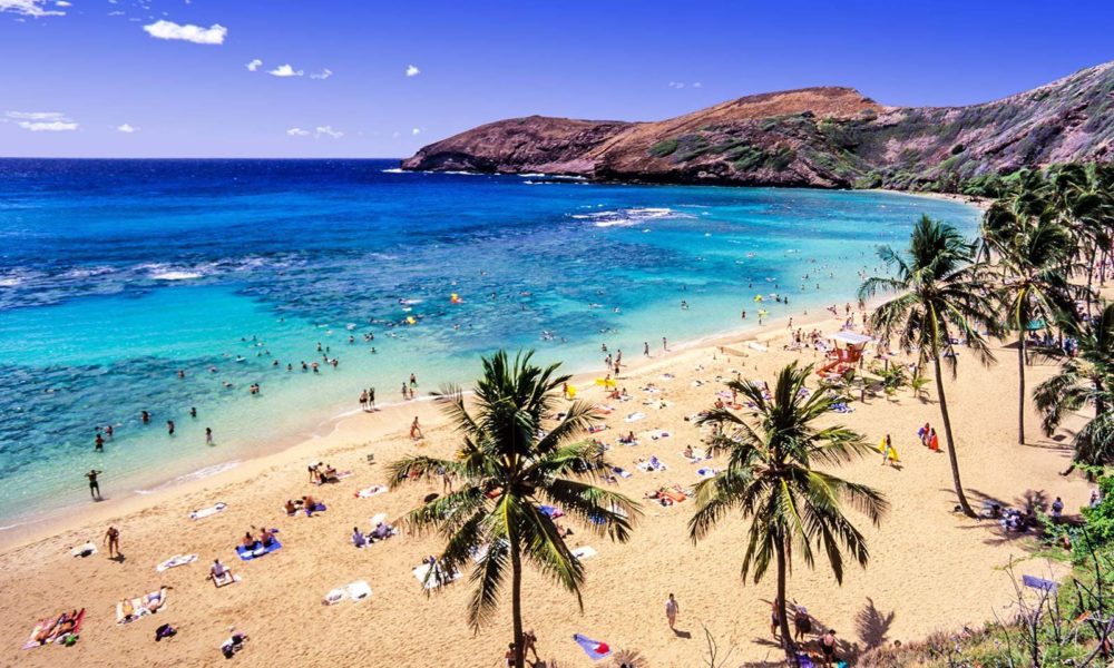 Hawaii Senators Seek Pathway To Recreational Marijuana