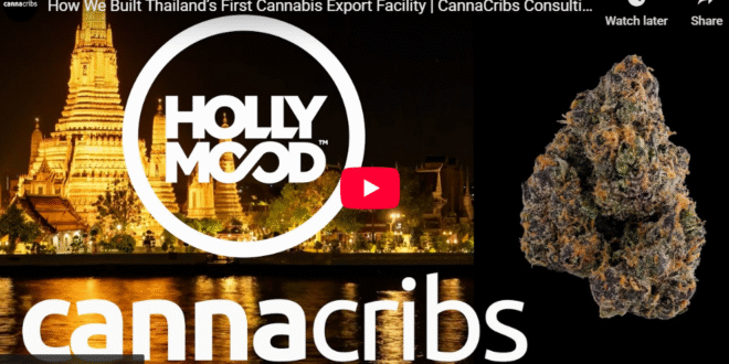 Thailand’s First Cannabis Export Facility