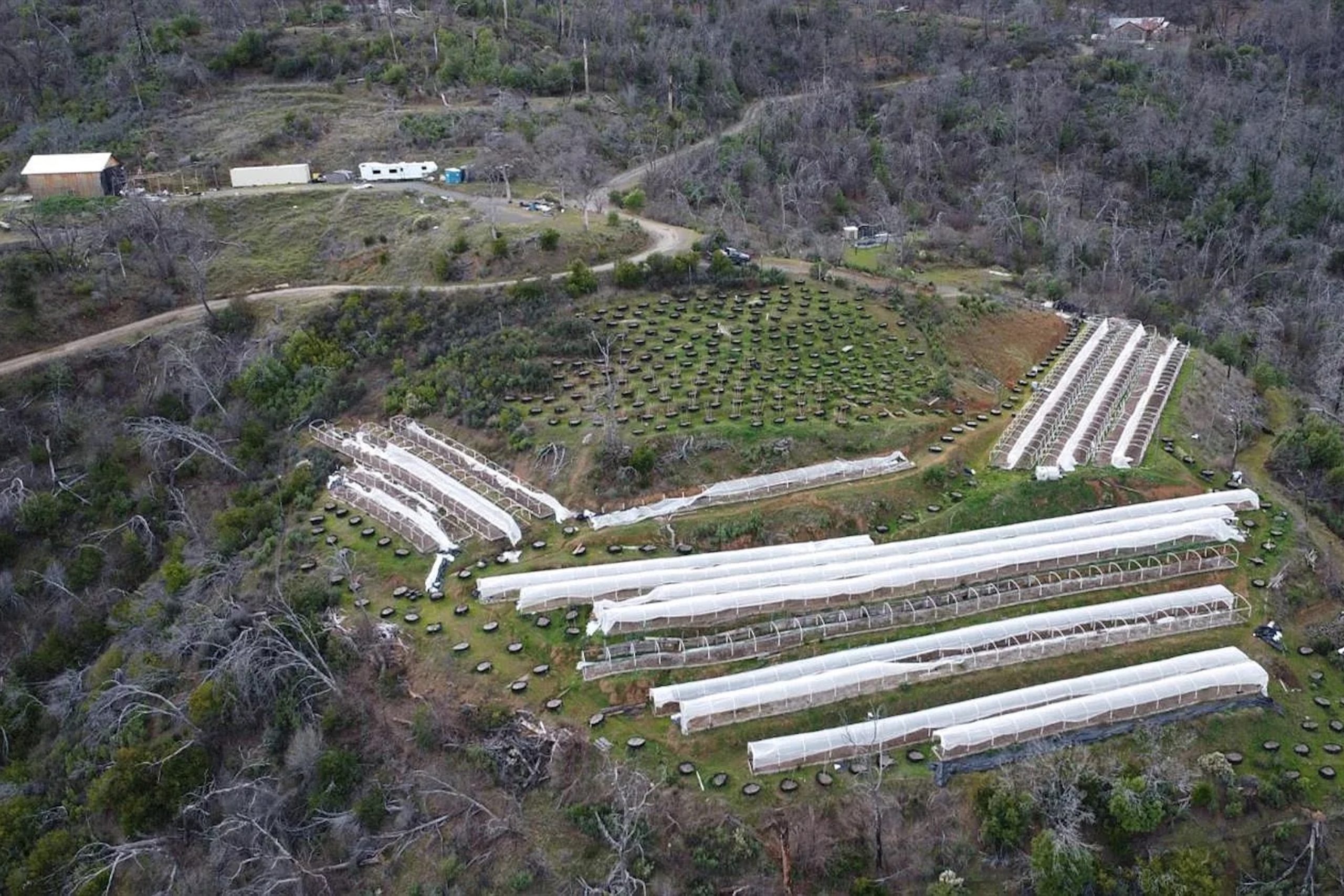 Licensed 20-acre cannabis farm near Upper Lake listed for $599,000  • The Mendocino Voice