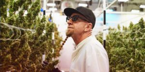 22Red Relaunches Next-Gen Live Resin Vape in Arizona