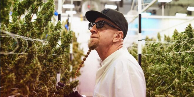 22Red Relaunches Next-Gen Live Resin Vape in Arizona