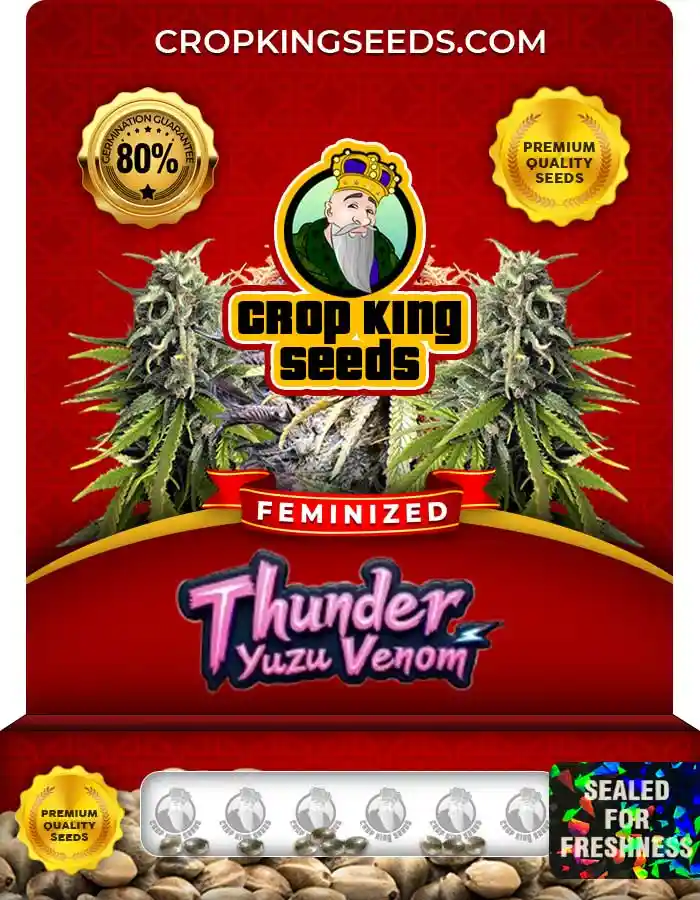 Thunder Yuzu Venom Strain Feminized Seeds
