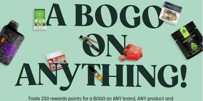 40% Off EVERYTHING + Bonus BOGO Rewards!