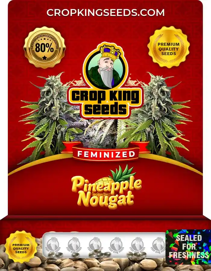 Pineapple Nougat Strain Feminized Seeds