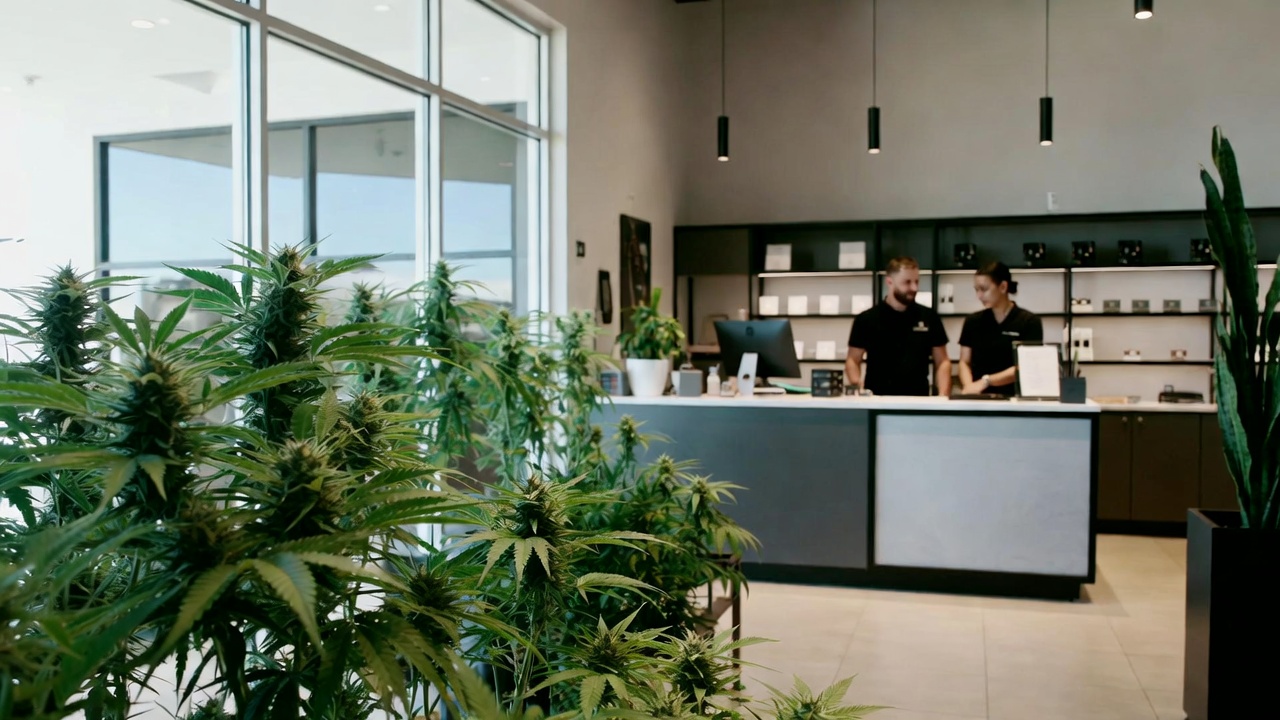 Nevada Cannabis Business Law Guide for Entrepreneurs