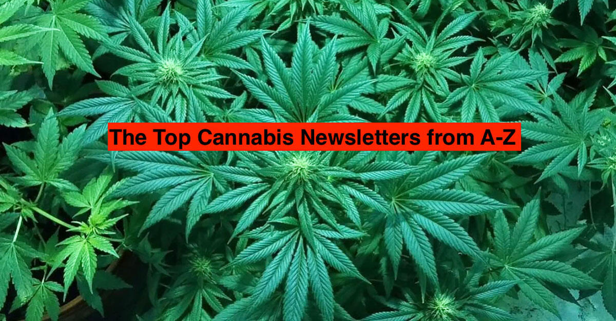 The Top 24 Cannabis Newsletters from A-Z