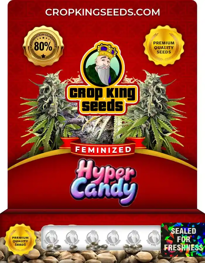 Hyper Candy Strain Feminized Seeds