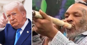 Black Celebs Implore White House to Reform Marijuana Laws