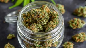 New cannabis store set to come to Eastview Mall, approved Tuesday night