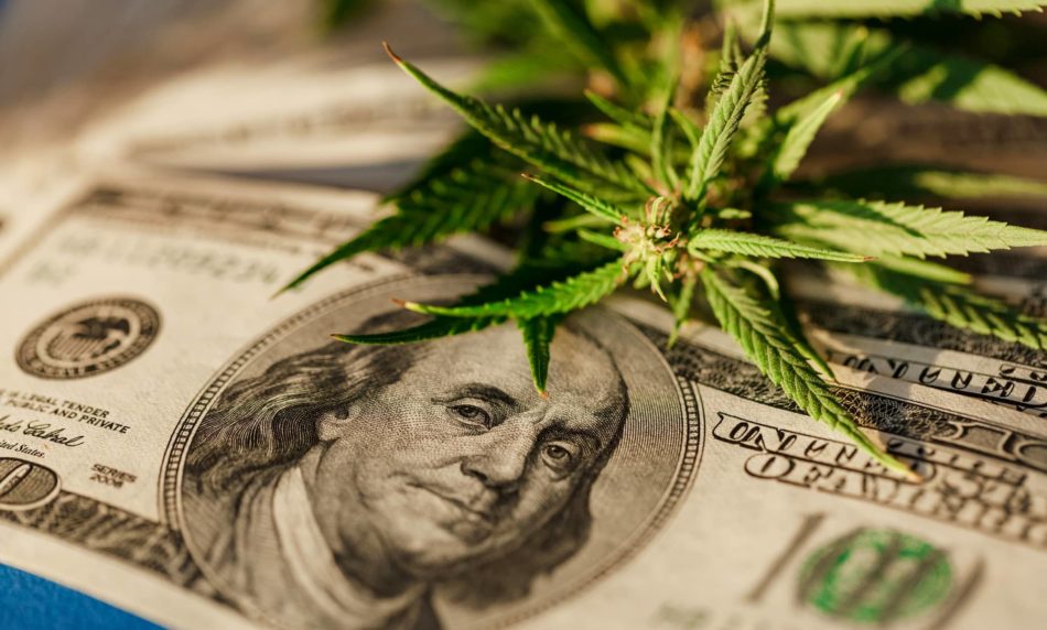 Southwest Michigan lawmaker seeking repeal of Michigan's new cannabis tax