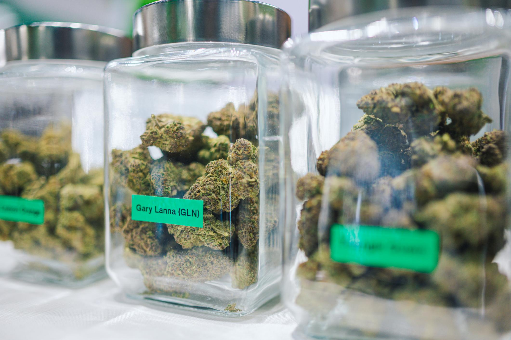 2026 Legal Cannabis Dispensary Guide