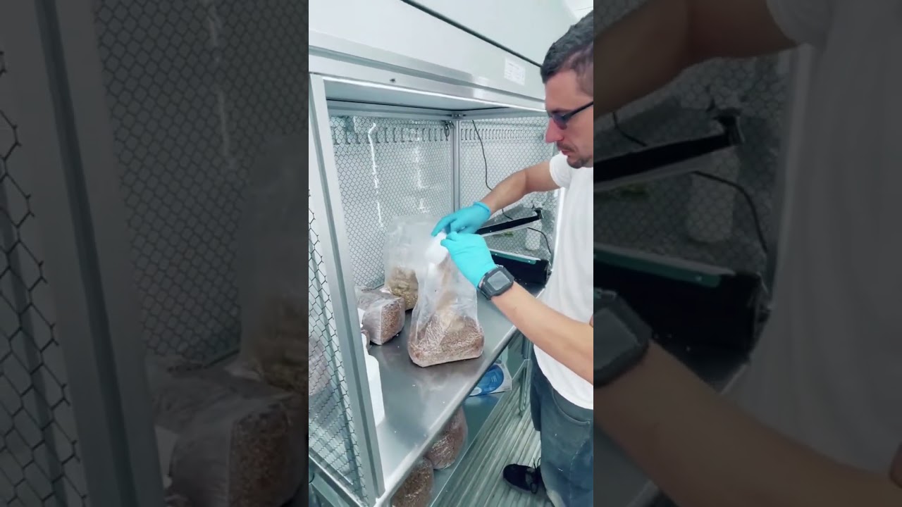 Mushroom Farm On Wheels Part (165) | Link in Bio to Book A Call or Learn More!| #mushroom #farming #