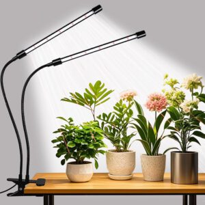 cannabis growing lights
