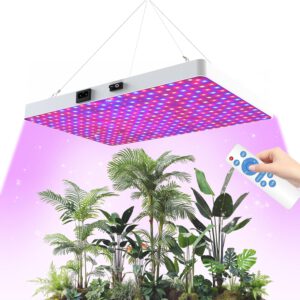 cannabis growing lights
