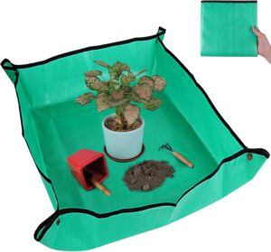 cannabis accessories growing