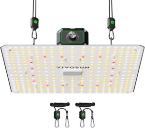 cannabis growing lights