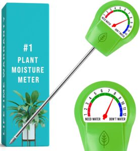 cannabis accessories growing