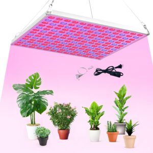 cannabis growing lights