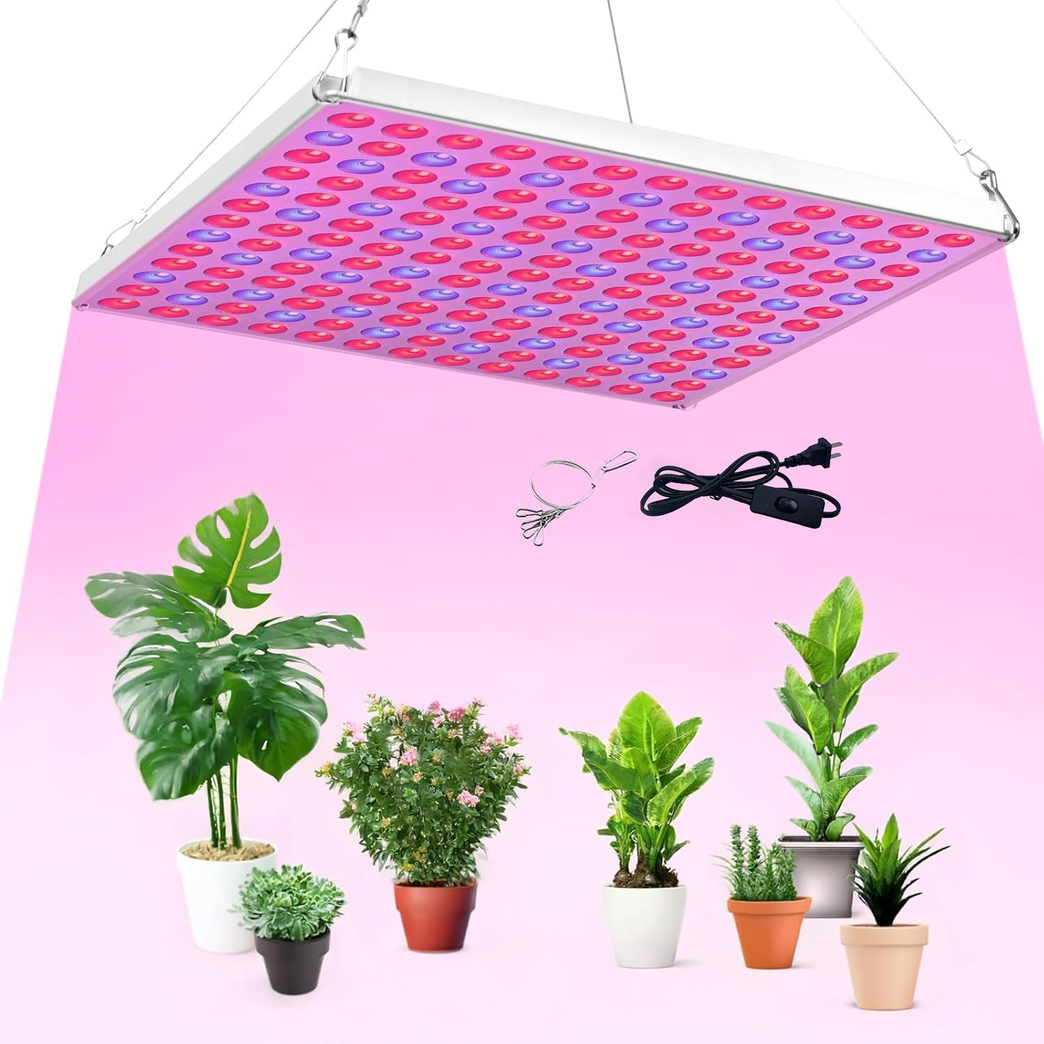 cannabis growing lights