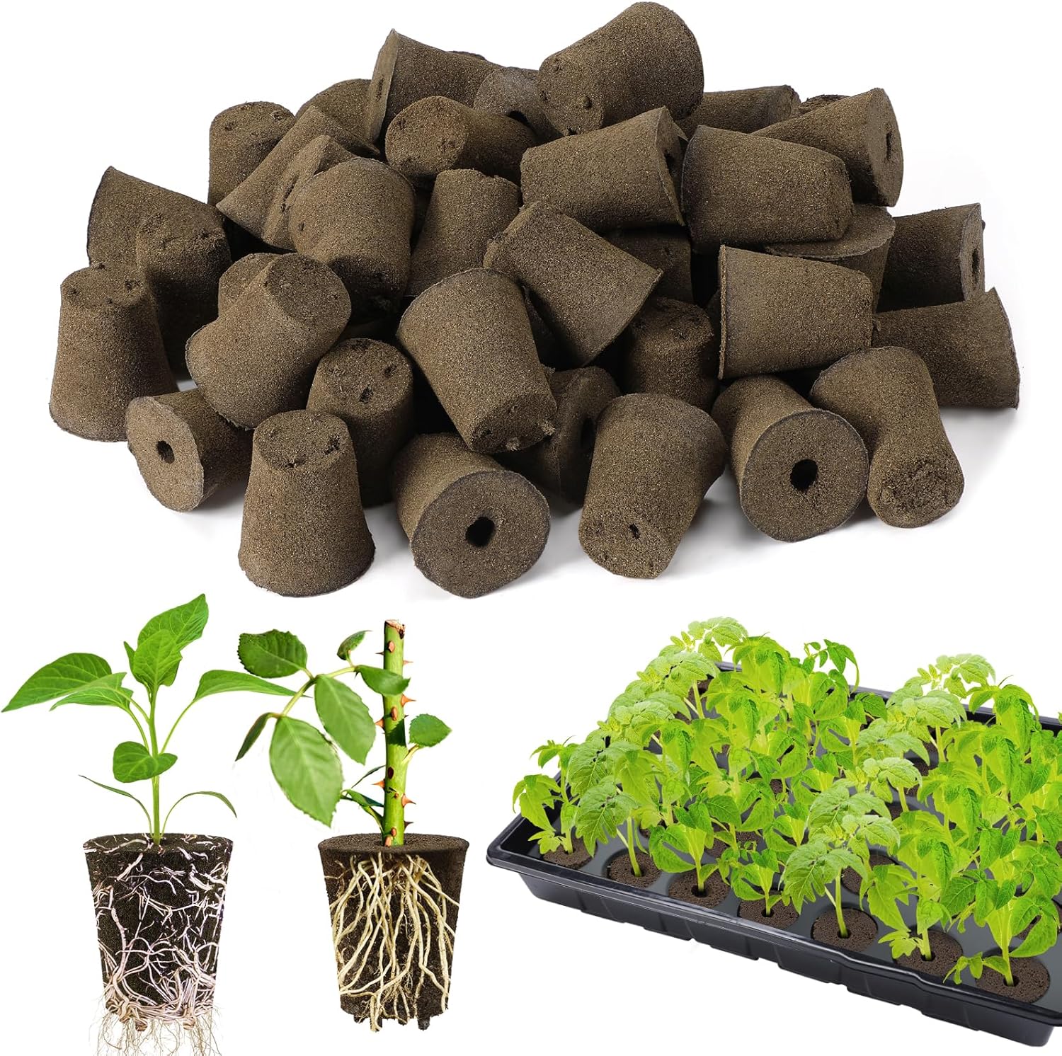 cannabis accessories growing