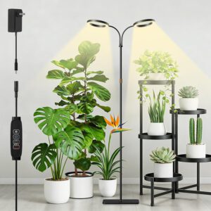 cannabis growing lights