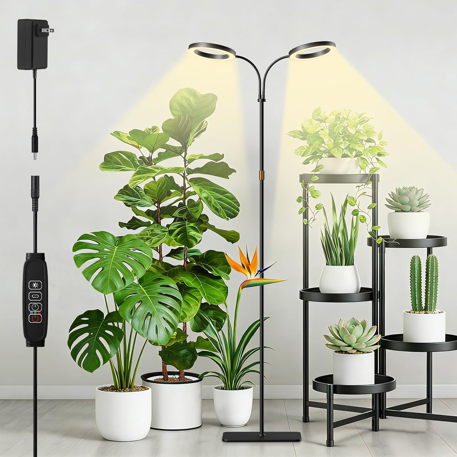 cannabis growing lights