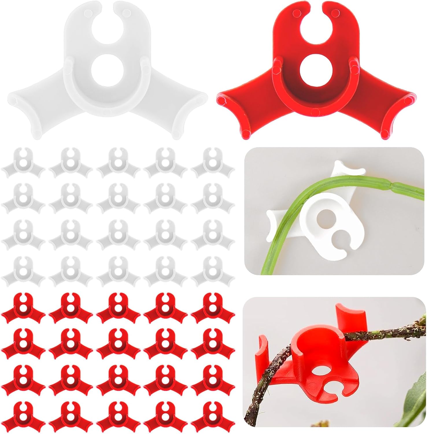 cannabis accessories growing