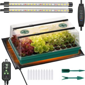 cannabis seeds