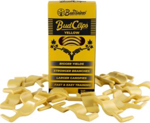 cannabis accessories growing
