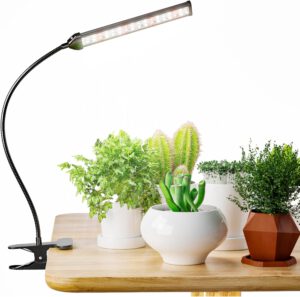 cannabis growing lights
