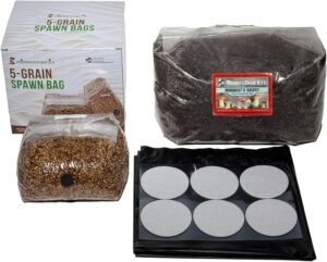 cannabis seeds