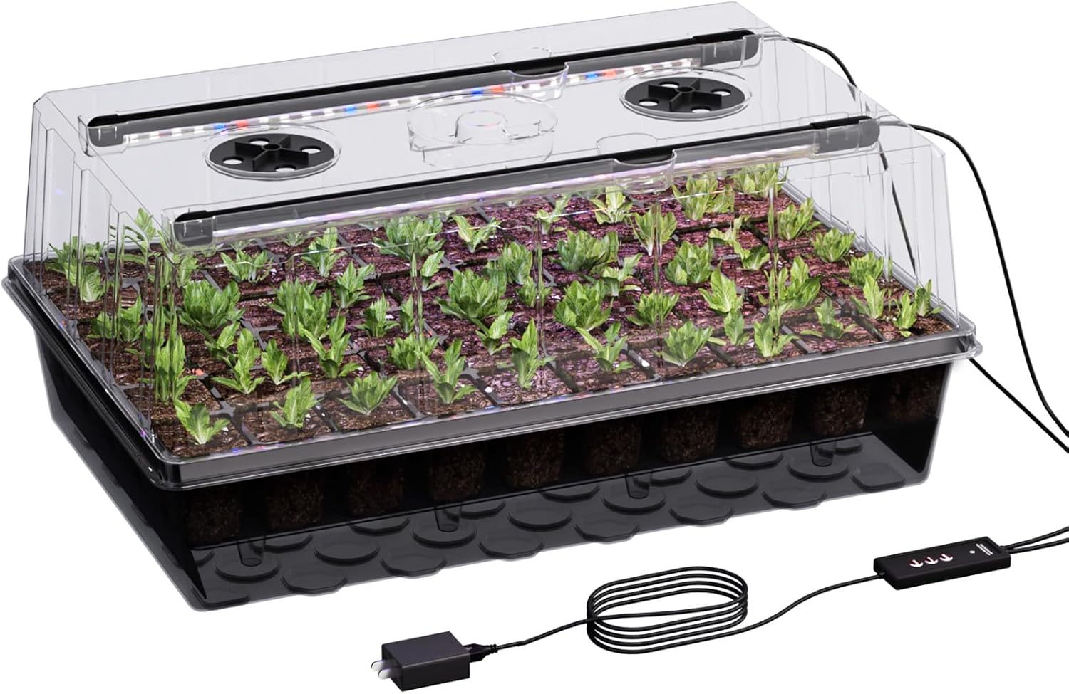 cannabis accessories growing
