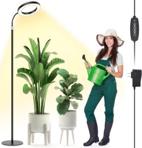 cannabis growing lights