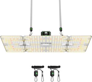 cannabis growing lights