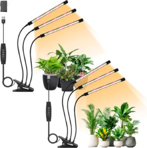 cannabis growing lights