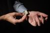How Million Meant for Florida Taxpayers Ended Up in the Anti-Marijuana War How Million Meant for Florida Taxpayers Ended Up in the Anti-Marijuana War