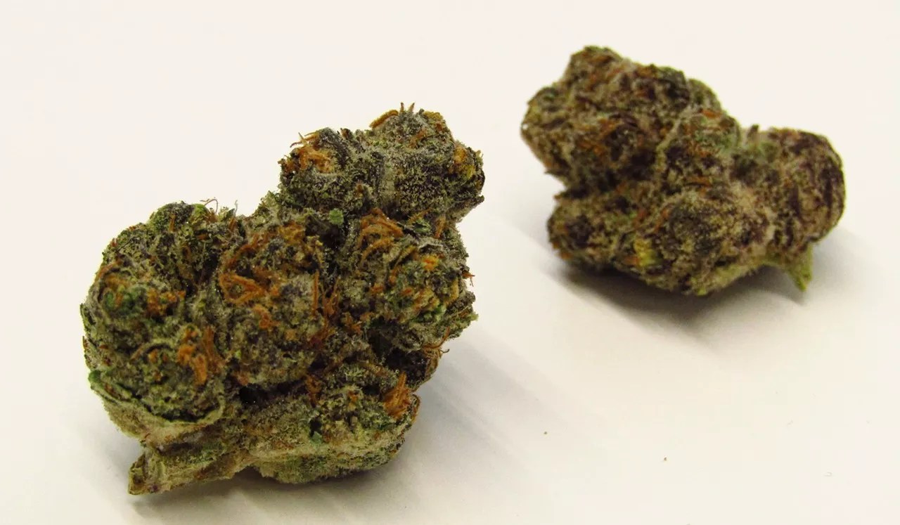 Best Craft Cannabis Growers Available in Denver Dispensaries