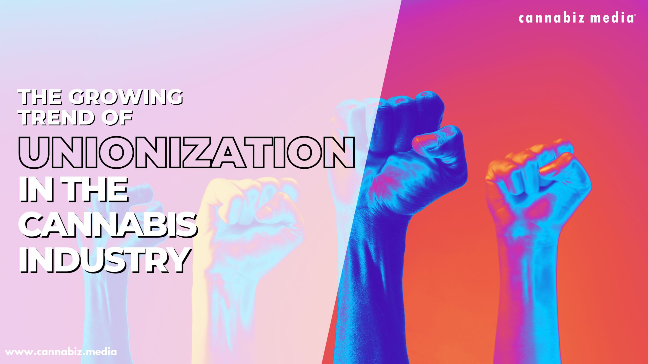 Cannacurio #86: The Growing Trend of Unionization in the Cannabis Industry | Cannabiz Media Cannacurio #86: The Growing Trend of Unionization in the Cannabis Industry | Cannabiz Media