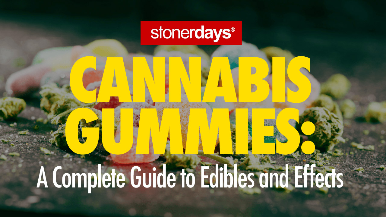 Cannabis Gummies: A Complete Guide to Edibles and Effects Cannabis Gummies: A Complete Guide to Edibles and Effects